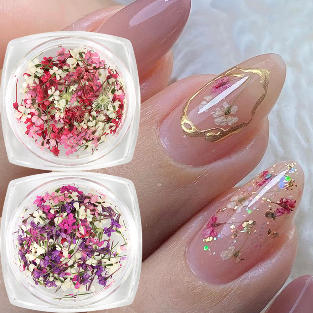 Mixed Colors Gypsophila False  - Dried Flower Bulk ulasan dan harga
