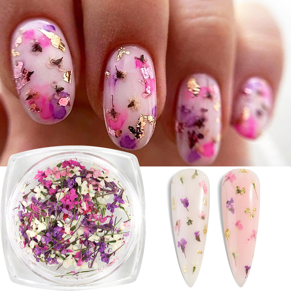 Mixed Colors Gypsophila False  - Dried Flower Bulk ulasan dan harga