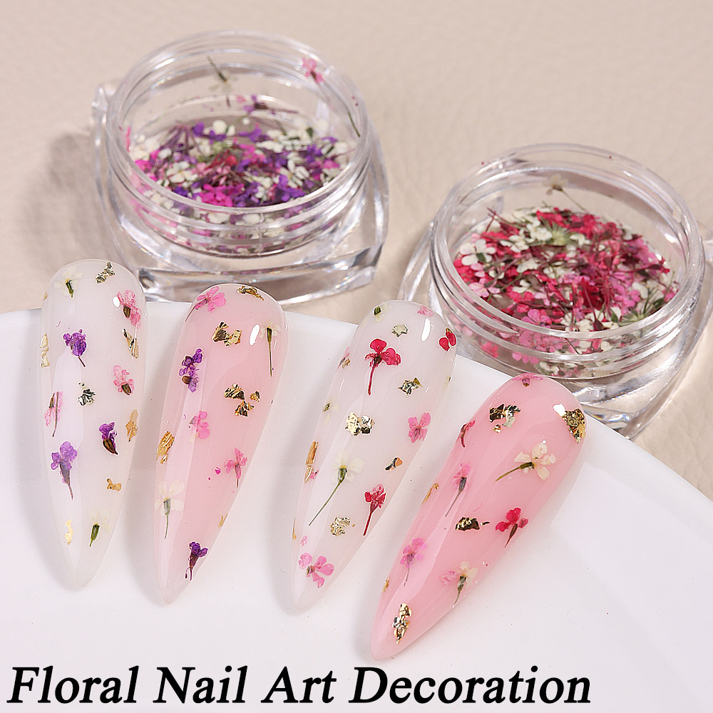 Mixed Colors Gypsophila False  - Dried Flower Bulk ulasan dan harga