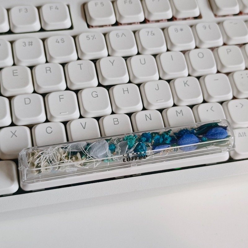 Spacebar Keycap Custom Preserv - Flower Preservation Resin ulasan dan harga
