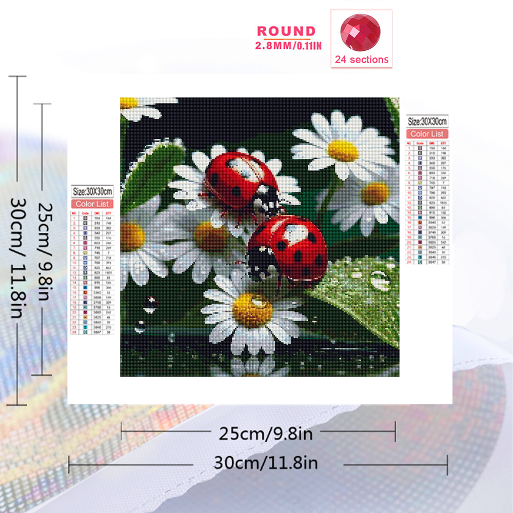 Momoart Diamond Painting Ladyb - Resin Craft For Beginners ulasan dan harga