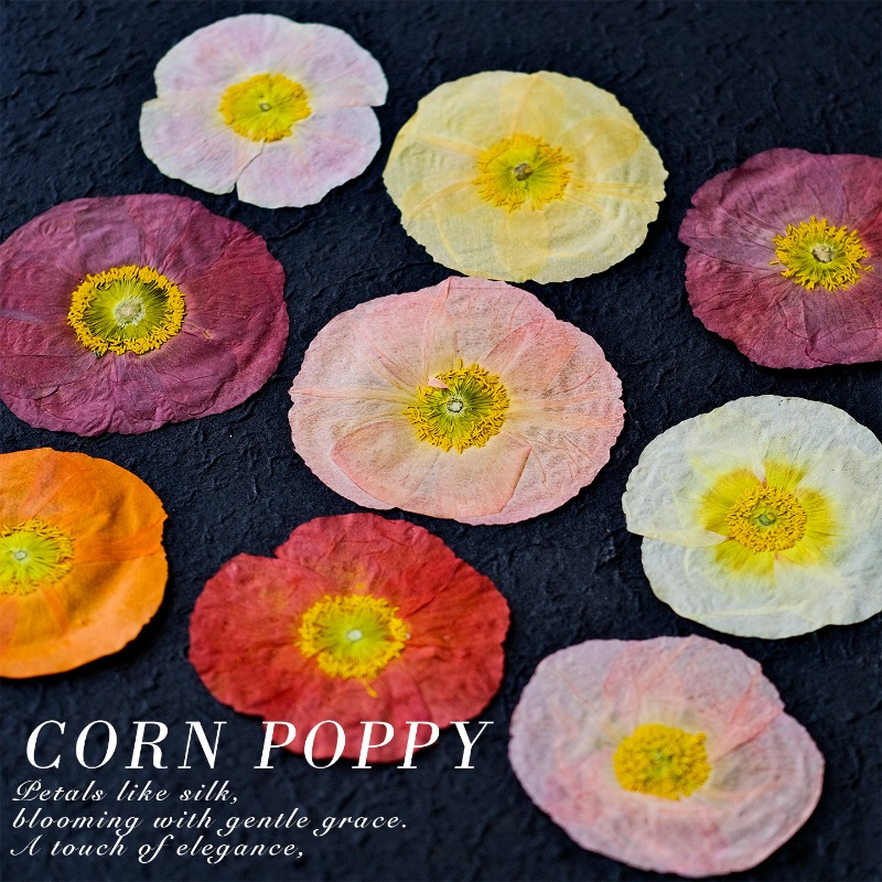 1pcs,Nature Field Poppy Presse - Resin Craft Ideas ulasan dan harga