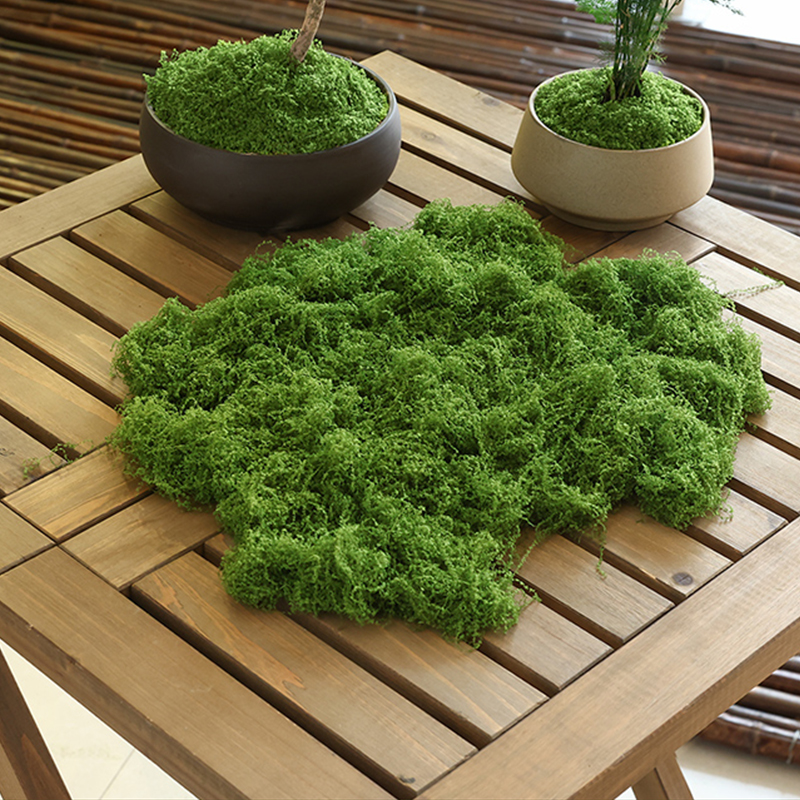 about 20g Artificial Green Pla - Terrarium Moss Art ulasan dan harga