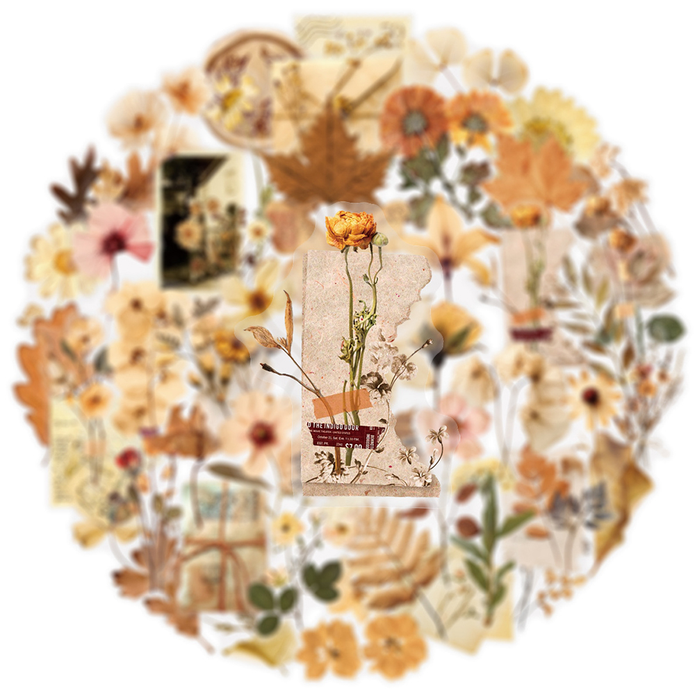 10/30/50pcs Transparent Dried  - Dried Flower Bulk ulasan dan harga