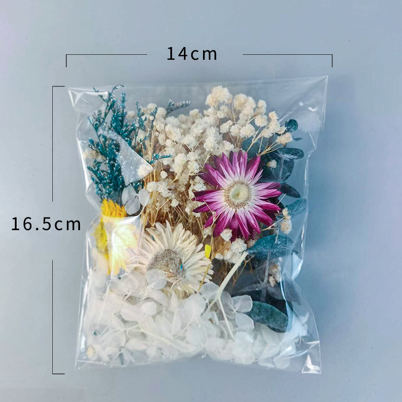 1pack Multifarious Dried Flowe - Dried Flower Bulk ulasan dan harga