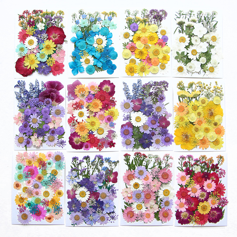 6pcsDried Flowers Real Natural - Flower Preservation Resin ulasan dan harga
