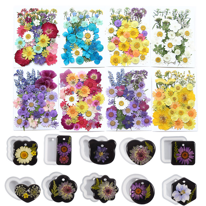 6pcsDried Flowers Real Natural - Flower Preservation Resin ulasan dan harga