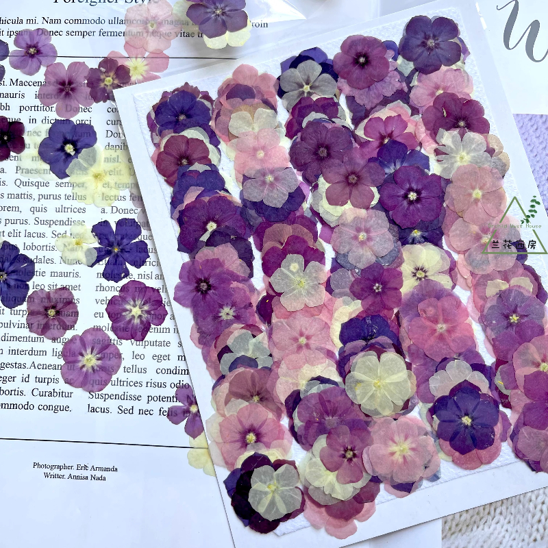 12pcs,Semi-Transparent Niche P - Resin Craft Ideas ulasan dan harga