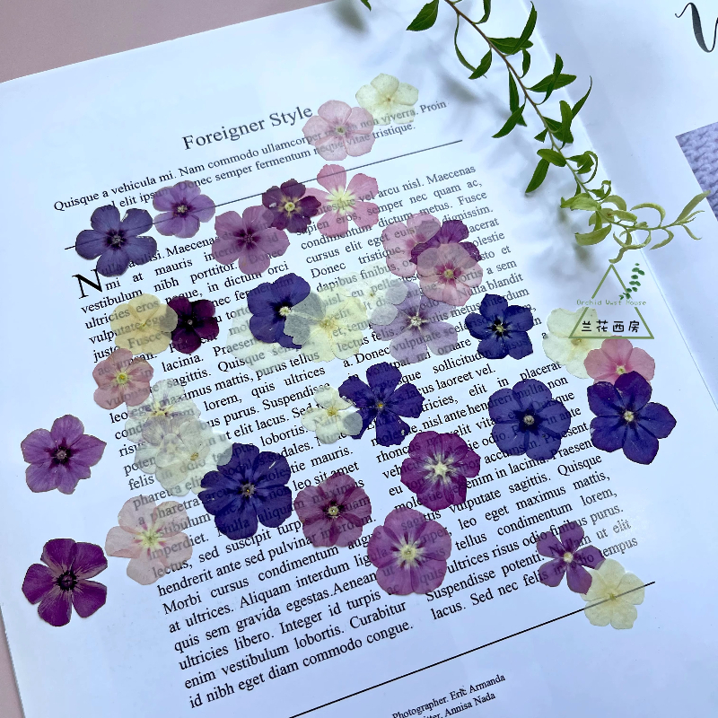 12pcs,Semi-Transparent Niche P - Resin Craft Ideas ulasan dan harga